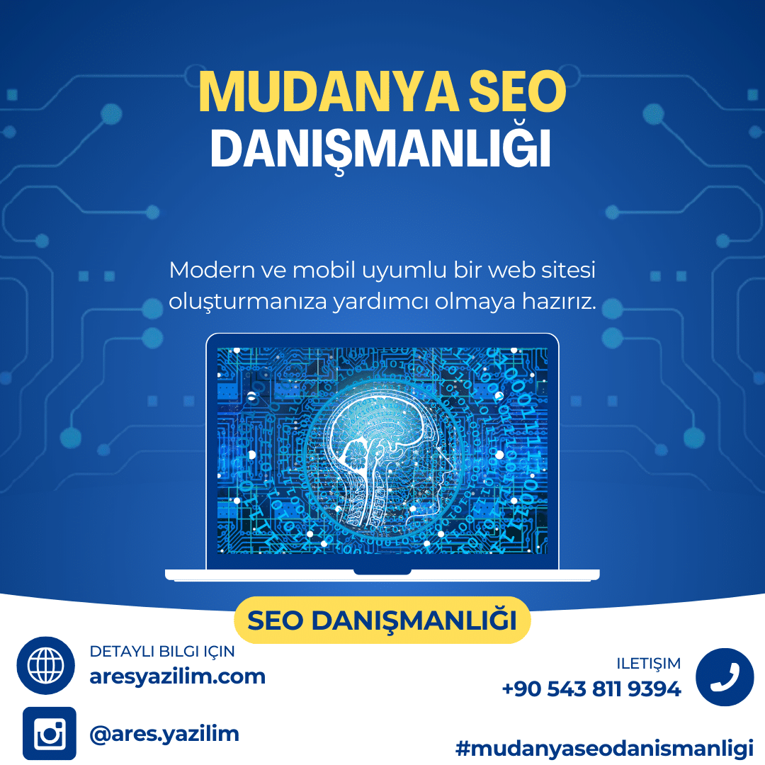 Mudanya SEO Danışmanlığı